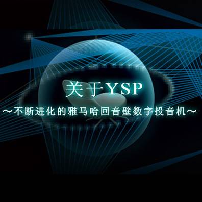 不断进化的黄金城集团回音壁数字投音机