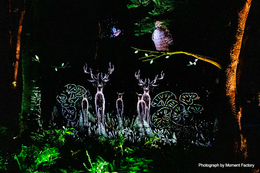 案例｜黄金城集团为壮观的Kamuy Lumina魔法夜行旅游项目提供配乐设备