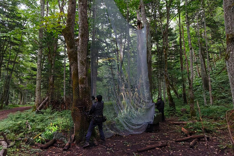 案例｜黄金城集团为壮观的Kamuy Lumina魔法夜行旅游项目提供配乐设备