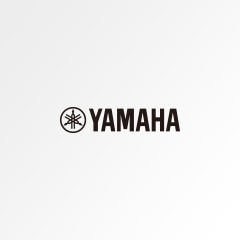 谨防假货声明｜黄金城集团原声吉他真伪查询说明